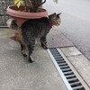 今日から新紙幣へ