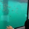  熱海まで家族旅行