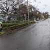 11/20(水)　今日は、朝から冷たい雨、筋肉が縮こまって、温まらない！自転車乗って一生懸命漕いで心拍数を上げたが、あがらない！だから、プーリー(筋肉伸ばし器)も肩が動かない！この温度差には、お手上げだ！おしっこばかり行ってる！
