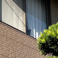 お見送りありがとう😸