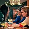 スイート・マグノリアス　Sweet Magnolias  シーズン1　全10話