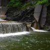 雨後の沢へ