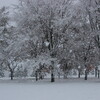 帯広も雪景色に（11月3日）