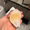 小さくなった石けんを「排水口ネット （ロング）」に入れたら最高だった【100均日記】