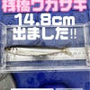 12/3(日)三河湖デカサギ現る❗️数は伸びず💦