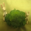 こんもりのみどり