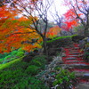 池田山公園（品川区東五反田）