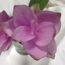 そして静寂が好き