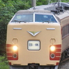 189系豊田車M51編成団臨