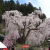 久遠寺・色な場所の思い出・桃6…
