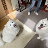 恒例の、、、