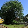 上総中野　－小湊鉄道＆いすみ鉄道－