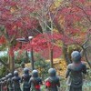 相州大山の紅葉