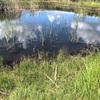 今週の釣果報告🎣栃木県河内郡某池