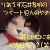 #とりあえず石井孝明のツイート見んのやめて蕨と川口に来て現実みたら バナー集