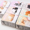 もっちりころりんねこはどこで売ってる？コンビニやスーパーは？