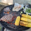 メモリアルデーの連休はシーズン初BBQ！！そして家と車のメンテナンスに捧げる
