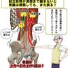 起立筋群が深部まで緩まないと骨盤は調整しても、また戻り歪みだす！