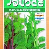 ヌルヌル野菜の「ツルムラサキ」を水耕栽培。支柱なしの放任状態で育てる予定です