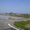 田植え