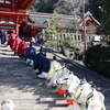 【鎌倉いいね】鶴岡八幡宮の祈年祭、神職さん達の装束が美しい。