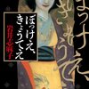 【夏の怖い本祭り2021第三弾】「ぼっけえ、きょうてえ」岩井志麻子