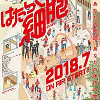 鈴木健一とは アニメの人気 最新記事を集めました はてな 鈴木健一とは アニメの人気 最新記事を集めました はてな