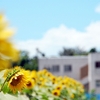 「“今年の夏は学校の休みが長いらしい”という件について」～授業日数の話