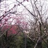 発表直前の悪夢
