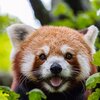 親切おばさんが意地悪おばさんに変わる時