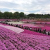 やっぱり地方密着型ブログは強い！観光地近くに住んでいるなら、ブログを書くべき