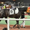 1400ｍなら最低限の仕事掲示板確保の５着