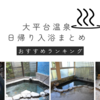 【大平台温泉】日帰り入浴完全ガイド（温泉ソムリエのオススメ４選）