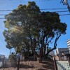 雲龍神社跡地 松原緑地と勝手に考察