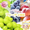 【2026年発送】選べる旬の味覚！桃・シャインマスカット定期便