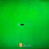 たけしは浜で死にました