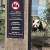 私のラストお庭シャンシャンです
