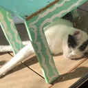  YB研の業務報告　ybken’s diary