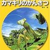 カマキリが道路に出てくる季節