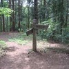 勝俣部長の「高尾登山と健康体質作り」６００････勇気がねえ
