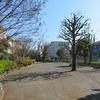 柳沢第4公園_たまたまコゲラ（東京都西東京市）