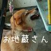 訓練士さんに会いに行くと…！ 湧水の郷しおやのいちごソフト 今日の柴ちゃん170