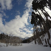 雪景色、きれいだよ～