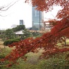 旧芝離宮恩賜庭園 in 冬至