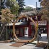 「夏越の大祓に行く 2024（大國魂神社）」