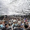 上野公園　コレステロール　女性正社員　メタボ