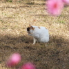 2019・2・12・火曜日・生きてること・目標に向かって～♪♪