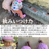 2024年9月27日 秋みいつけた