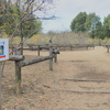 所沢航空公園のロウバイ園