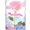 薔薇のポリフェノール